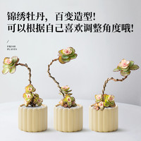 锦绣牡丹多肉植物盆栽造型老桩小盆栽绿植办公室工位桌面女生 带盆栽好