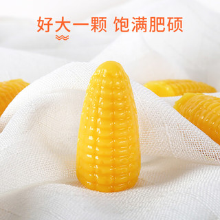 马大姐软糖 喜糖 468g玉米味软糖约39颗休闲零食糯叽叽食品糖果 玉米味软糖468g