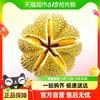泰壹榴 泰国金枕榴莲3-4斤