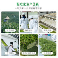 芳羽安吉黄金芽玉凤特级雨前绿茶125g 2025年新茶 罐装茶叶自己喝