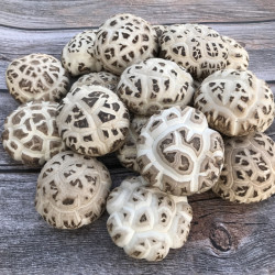 花菇哥 随州冬花菇50克尝鲜装0.99元限量50名