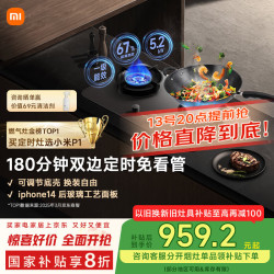 MIJIA 米家 MJ03CY 燃气灶 P1 天然气