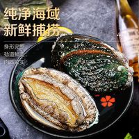 鲜驰 鲍鱼鲜活新鲜超大海鲜水产生鲜活特大加热即食小鲍鱼捞汁饭 特大鲍鱼净重2斤【5-9头】