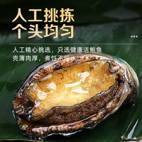 鲜驰 鲍鱼鲜活新鲜超大海鲜水产生鲜活特大加热即食小鲍鱼捞汁饭 超大鲍鱼净重1斤【10-13头】