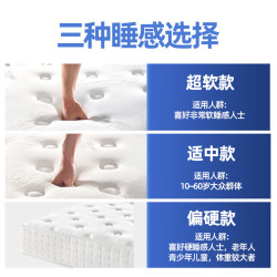 FGOOHOME 床垫五星酒店加厚超软适中独立弹簧记忆棉盒子席梦思高端定制品牌 经典超软款