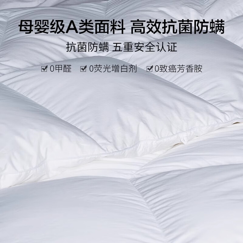  MINE/寐 波兰 白鹅绒冬被