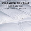 寐（MINE）乌托邦 95%白鹅绒春秋被  波兰 900g 248*248cm 白色 248*248cm ( 春秋被 填充900g)