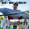 美人鱼很强轻量大物竿鲢鳙竿翘嘴台钓竿黑坑湖库碳素大物杆手杆 10m +送竿稍一支