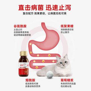 蓝特斯威肠康60ML犬猫提供消化系统营养支持补充维生素
