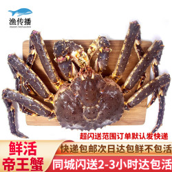 渔传播 同城速配 进口鲜活帝王蟹7斤/只 大螃蟹海鲜水产