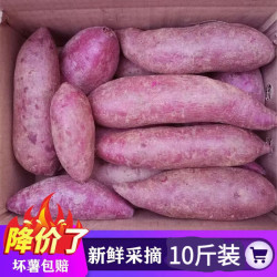 果淳乐 软糯香甜 紫薯 新鲜10斤蜜薯紫罗兰红薯地瓜蔬菜 紫薯  带箱5斤精选装