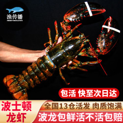 渔传播 波士顿龙虾 450-550g