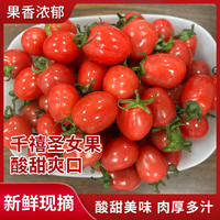 京鲜生 山东千禧圣女果 单果重量14g+ 两盒净重1.6斤 源头直发
