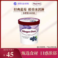 哈根达斯 蓝莓口味 冰淇淋 100ml