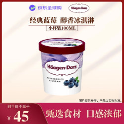 哈根达斯 蓝莓口味 冰淇淋 100ml