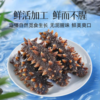 观君 大连直发即食海参11-15头辽刺参独立包装