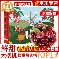 千封 山东车厘子大樱桃国产樱桃车厘子孕妇水果礼盒装 2斤(净重)  [特惠装】爽吃礼盒