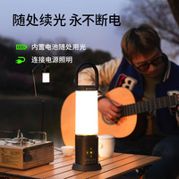 LEDLENSER莱德雷神户外露营灯超亮AL10R超长续航环绕式泛光灯多色温可调