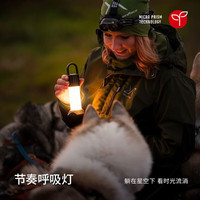 LEDLENSER莱德雷神德国ML6超亮露营灯超长续航磁吸悬挂户外照明氛围灯18650