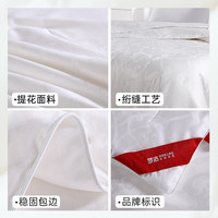 梦洁家纺 100%蚕丝被丝柔大提花纯蚕丝被 夏凉被薄被 子母二合一被四季被 【四季被】100%蚕丝填充 248*248cm