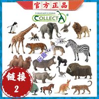 COLLECTA 仿真动物模型海洋生物鲨鱼鲸鱼海豚企鹅海龟螃蟹摆件儿童
