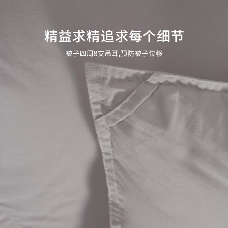 霞珍【羽绒被】95鹅绒被子 轻音保暖双人被芯 [冬被]适宜室温10-15℃ 冬被--填充1000g 冬被