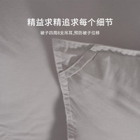 霞珍【羽绒被】95鹅绒被子 轻音保暖双人被芯 [冬被]适宜室温10-15℃ 冬被--填充1000g 冬被