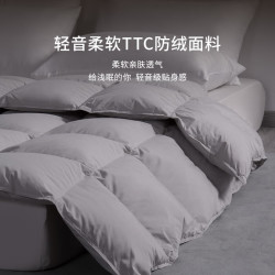 霞珍 95鹅绒被子 轻音保暖双人被芯 超蓬95灰鹅绒-轻音无异味 保暖冬被-220*240cm 冬被