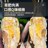 鲟好物 新鲜国产小青龙虾 大龙虾花龙虾 鲜活冷冻大虾生鲜