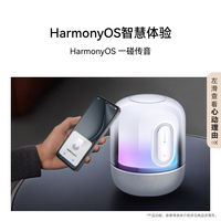 华为（HUAWEI）音响SoundX4 无线智能音箱SE超重低音炮金标音质认证立体声家居控制蓝牙ai语音 Sound X4【韵律黑】
