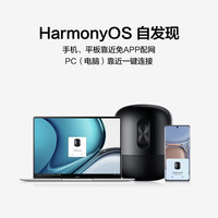 华为（HUAWEI）音响SoundX4 无线智能音箱SE超重低音炮金标音质认证立体声家居控制蓝牙ai语音 Sound SE【亮黑色】