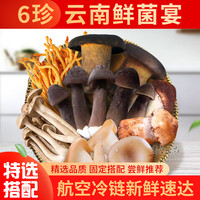 高原云品 净重2斤 特选搭配 新鲜菌菇 源头直发