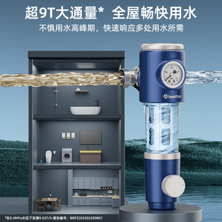  WHEELTON/惠尔顿 反冲洗自动洗 前置过滤器
