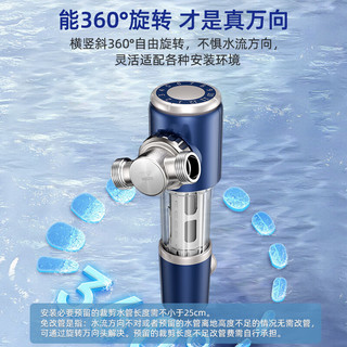  WHEELTON/惠尔顿 反冲洗自动洗 前置过滤器