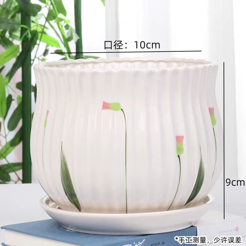 泰西丝金边吊兰盆栽室内植物 金边吊兰+草花陶瓷盆+陶粒 源头直发