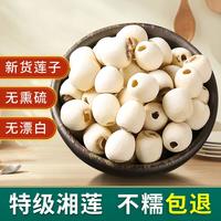 梧柏塘 特级莲子干货500g新货无硫去芯磨皮白莲子银耳百合羹原料莲子