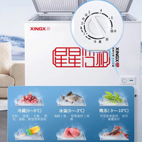 星星【可享受】双温冰柜家用商用冷藏冷冻两用冰箱小冰柜展示柜保鲜柜家电红酒柜BCD-178GE BCD-178GE一级能效 178L