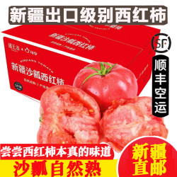沃鲜谷 新疆 吐鲁番普罗旺斯西红柿 10斤 中果 24-32个