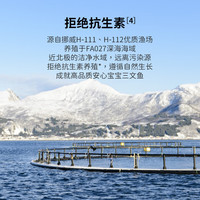 萌小丸挪威三文鱼冰鲜冷冻中段深海三文鱼块宝宝婴儿童辅佐食材