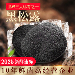 高原云品 冻鲜黑松露 5-7cm净重2斤18-28个 全黑全成熟 源头直发