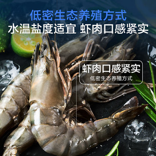 1号会员店 泰国活冻黑虎虾 斑节对虾 海鲜水产 净重2斤（31-40只）