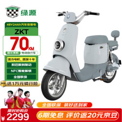 绿源 电动车ZKT新国标48V24AH锂电池液冷电机长续航电动自行车静谧灰