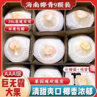 菲农 海南椰青2枚丨单果1kg起 当天现摘 特级大果