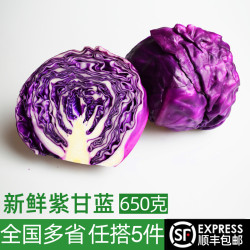 绿食者 紫甘蓝650g 紫包菜球紫色红椰生菜 西餐沙拉蔬菜轻食食材