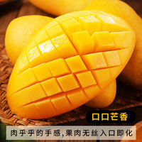京地达芒果海南水仙芒大芒果新鲜水果净重8斤单果300g+源头直发 精品水仙芒8斤|核薄如纸