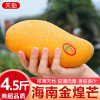 京地达海南芒果金煌芒新鲜大芒果净重4.5斤单果300g+源头直发 精品金煌芒4.5斤|个大味甜