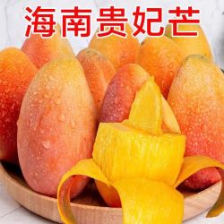 集南鲜 海南贵妃芒 薄核纸核芒果红金龙树上现摘当季甜心芒新鲜水果 净重4.5甄选大果 单果150g起