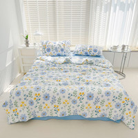 多喜爱家纺夏凉被  单双人空调被 夏季宿舍薄被子可水洗机洗夏季被 小清新-微风小花园夏被 1.8米床  230*229cm