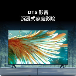 TCL 雷鸟 雀5 25款 一级能效 55英寸 144Hz 液晶平板电视机 55F295C