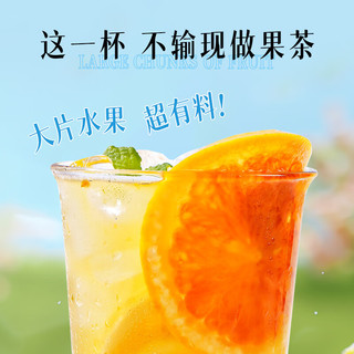  XIN LIN CAO TANG/杏林草堂 冻干果茶 水果茶包